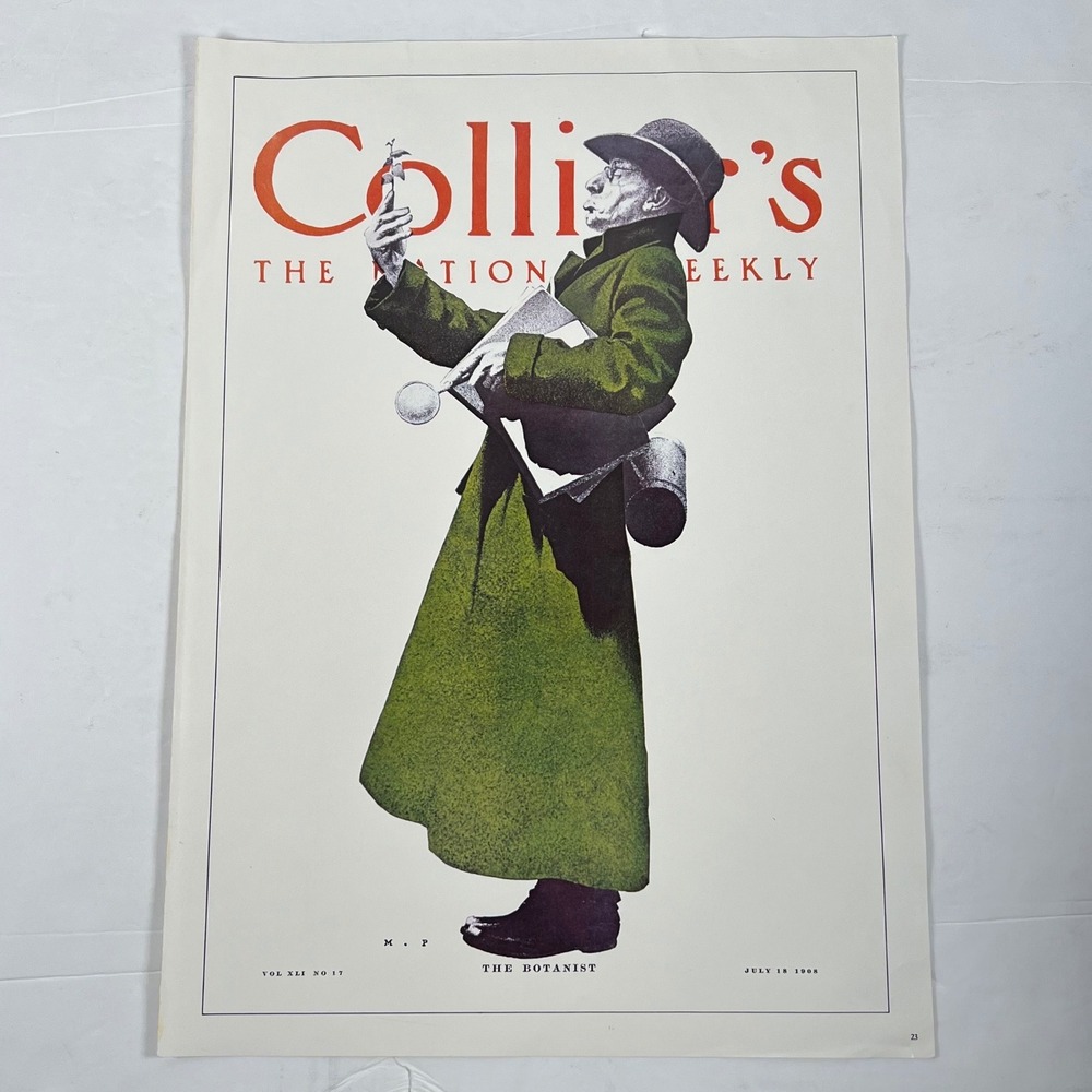 Vintage 1908 Collier's The Botanist Maxfield Parrish Magazine Cover Art Print